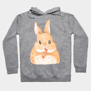 gangsta Bunny Hoodie